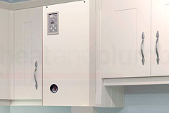 Pant Y Caws electric boiler quotes